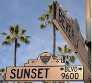 90210 Beverly Hills lie-etector test